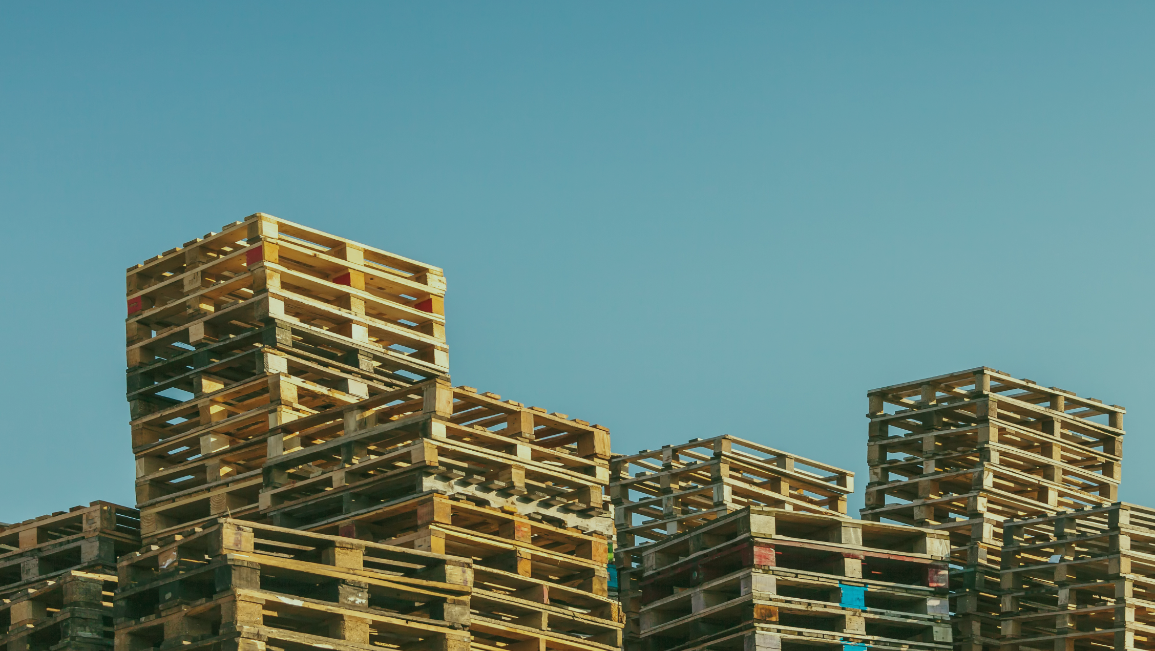 Tarimas de madera para cualquier tamaño de empresa